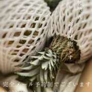 ヒメ日記 2026/02/04 09:23 投稿 湊かすみ ローテンブルク