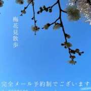 ヒメ日記 2026/02/04 09:34 投稿 湊かすみ ローテンブルク