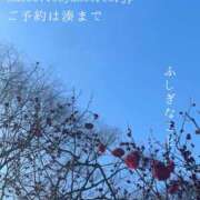ヒメ日記 2026/02/05 08:05 投稿 湊かすみ ローテンブルク