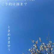 ヒメ日記 2026/02/05 08:36 投稿 湊かすみ ローテンブルク