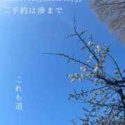 ヒメ日記 2026/02/06 08:32 投稿 湊かすみ ローテンブルク