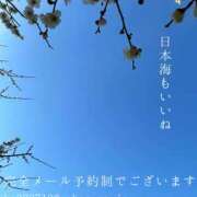 ヒメ日記 2026/02/10 08:24 投稿 湊かすみ ローテンブルク