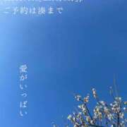 ヒメ日記 2026/02/12 09:21 投稿 湊かすみ ローテンブルク