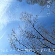 ヒメ日記 2026/02/12 09:28 投稿 湊かすみ ローテンブルク