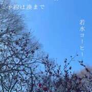 ヒメ日記 2026/02/14 08:00 投稿 湊かすみ ローテンブルク