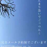 ヒメ日記 2026/02/16 07:28 投稿 湊かすみ ローテンブルク