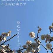 ヒメ日記 2026/02/16 07:42 投稿 湊かすみ ローテンブルク