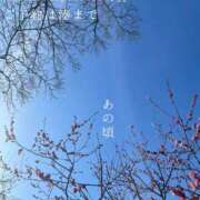 ヒメ日記 2026/02/17 08:25 投稿 湊かすみ ローテンブルク