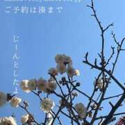 ヒメ日記 2026/02/17 08:50 投稿 湊かすみ ローテンブルク