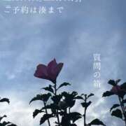 ヒメ日記 2026/02/19 08:41 投稿 湊かすみ ローテンブルク