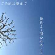 ヒメ日記 2026/02/19 09:05 投稿 湊かすみ ローテンブルク