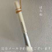 ヒメ日記 2026/02/19 09:17 投稿 湊かすみ ローテンブルク