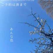 ヒメ日記 2026/02/20 09:17 投稿 湊かすみ ローテンブルク