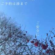 ヒメ日記 2026/02/21 07:13 投稿 湊かすみ ローテンブルク