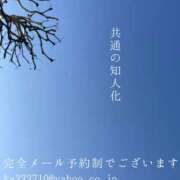 ヒメ日記 2026/02/21 07:26 投稿 湊かすみ ローテンブルク