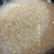 ヒメ日記 2026/02/21 08:52 投稿 湊かすみ ローテンブルク