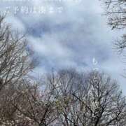 ヒメ日記 2026/02/22 08:29 投稿 湊かすみ ローテンブルク