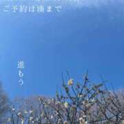 ヒメ日記 2026/02/24 07:04 投稿 湊かすみ ローテンブルク