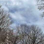 ヒメ日記 2026/02/24 08:20 投稿 湊かすみ ローテンブルク