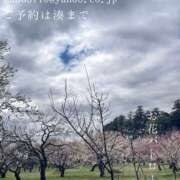 ヒメ日記 2026/02/24 09:32 投稿 湊かすみ ローテンブルク