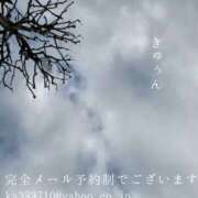 ヒメ日記 2026/02/25 08:52 投稿 湊かすみ ローテンブルク