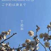 ヒメ日記 2026/02/25 09:11 投稿 湊かすみ ローテンブルク