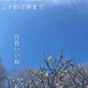 ヒメ日記 2026/02/26 08:23 投稿 湊かすみ ローテンブルク