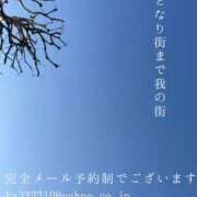 ヒメ日記 2026/02/27 21:40 投稿 湊かすみ ローテンブルク