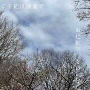 ヒメ日記 2026/02/27 22:19 投稿 湊かすみ ローテンブルク