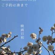 ヒメ日記 2026/02/27 22:34 投稿 湊かすみ ローテンブルク