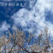 ヒメ日記 2026/03/01 00:06 投稿 湊かすみ ローテンブルク