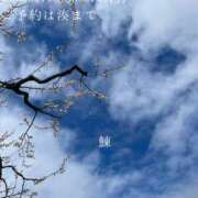 ヒメ日記 2026/03/01 19:16 投稿 湊かすみ ローテンブルク