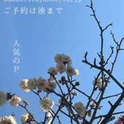 ヒメ日記 2026/03/03 09:27 投稿 湊かすみ ローテンブルク
