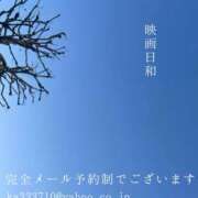 ヒメ日記 2026/03/04 23:45 投稿 湊かすみ ローテンブルク