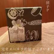 ヒメ日記 2026/03/07 08:45 投稿 湊かすみ ローテンブルク