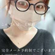 ヒメ日記 2026/03/07 20:21 投稿 湊かすみ ローテンブルク