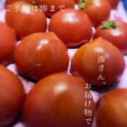 ヒメ日記 2026/03/08 07:44 投稿 湊かすみ ローテンブルク