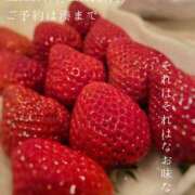 ヒメ日記 2026/03/13 09:30 投稿 湊かすみ ローテンブルク