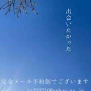 ヒメ日記 2026/03/15 09:16 投稿 湊かすみ ローテンブルク