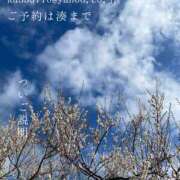 ヒメ日記 2026/03/15 09:23 投稿 湊かすみ ローテンブルク