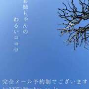 ヒメ日記 2026/03/17 08:26 投稿 湊かすみ ローテンブルク