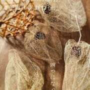 ヒメ日記 2026/03/18 08:22 投稿 湊かすみ ローテンブルク