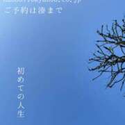 ヒメ日記 2026/03/19 08:18 投稿 湊かすみ ローテンブルク