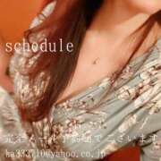 ヒメ日記 2026/03/20 05:31 投稿 湊かすみ ローテンブルク