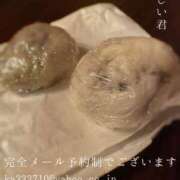 ヒメ日記 2026/03/20 09:25 投稿 湊かすみ ローテンブルク