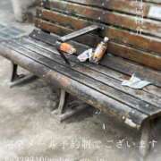 ヒメ日記 2026/03/20 22:58 投稿 湊かすみ ローテンブルク