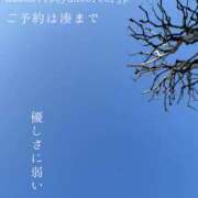 ヒメ日記 2026/03/21 23:45 投稿 湊かすみ ローテンブルク