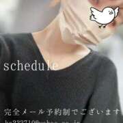 ヒメ日記 2026/03/22 23:02 投稿 湊かすみ ローテンブルク