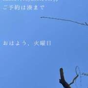 ヒメ日記 2026/03/24 10:37 投稿 湊かすみ ローテンブルク