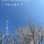 ヒメ日記 2026/03/24 22:35 投稿 湊かすみ ローテンブルク